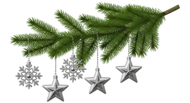 Isolated Christmas green tree branch with silver ornaments, holiday season decorative item