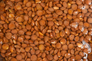 A full-frame close-up shows a densely packed texture of brown lentils completely submerged and soaking in water