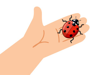 A small red cute ladybug walking on a hand. Predator, effective pest control in agriculture. Knowledge of nature