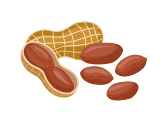 Peanuts with shell and kernels. Vector design for food packaging, recipe books, menus, or healthy eating concepts. 