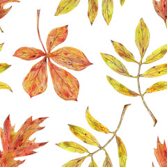 Naklejka premium Various Autumn leaves. Colored pencils illustration seamless pattern. For autumn party, retro vintage settings, diaries and planners decorated, stickers, greeting cards and banners and clip arts