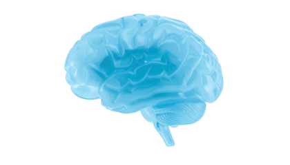 A translucent, blue brain model isolated against a stark black background
