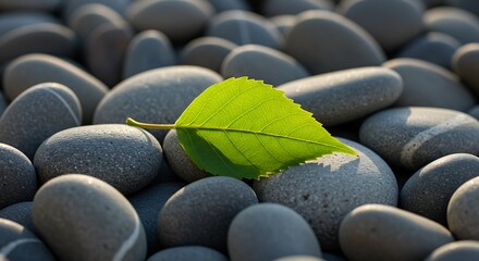 A vibrant green leaf rests gently atop a bed of smooth gray stones, symbolizing nature's tranquility