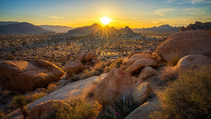 sunset at joshua tree national park in california, usa
