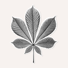 Halftone chestnut leaf sticker for botanical design, zine layouts, collages, and retro style mixed media projects.