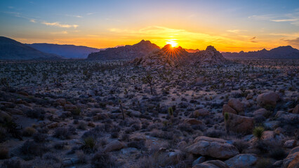 sunset at joshua tree national park in california, usa