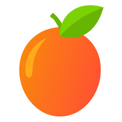 vector illustration of an orange