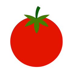 tomato vector illustration