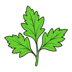 green leaf isolated on white