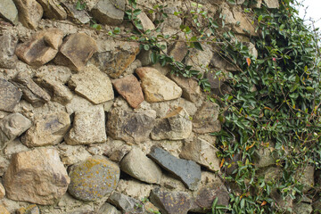 Asian Jasmine and Stone Wall