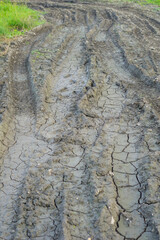 close up of a muddy field road with deep tire tracks and cracked soil from a heavy vehicle, concept of off roading, transportation, agriculture