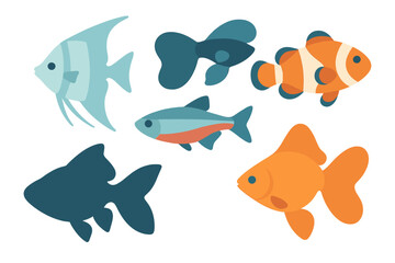 Colorful tropical aquarium fish species collection including angelfish and clownfish