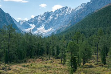Fototapeta premium Part of Kuyguk valley located in the Altai Republic with green forests and snow-covered mountain peaks, Russia