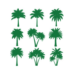 Collection of green silhouettes of tropical palm trees. Concept of summer vacation. Vector graphic isolated on white.