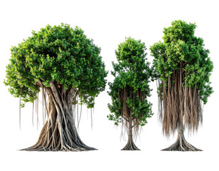 Three lush, realistic trees with large trunks and abundant green foliage