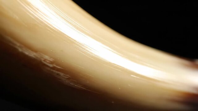 Yom Kippur Shofar Horn Close Up