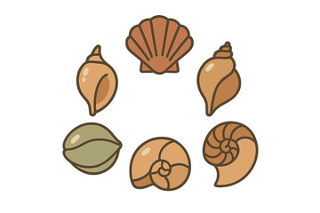 Symmetrical circular arrangement of various marine seashells on a clean white background