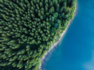 Aerial View of a Blue Lake with Spruce Forest and Chalky Shore