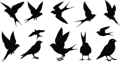 Flying and Perching Swallow Bird Black Silhouette Vector Set, Barn Swallows and Martins Collection for Nature, Aviation, or Freedom Design Elements.