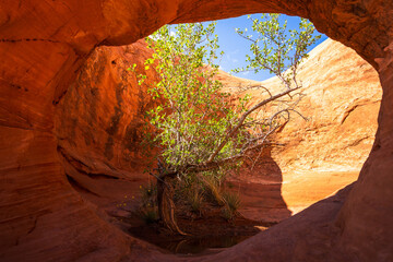 hiking the pothole arch trail near moab in utah, usa