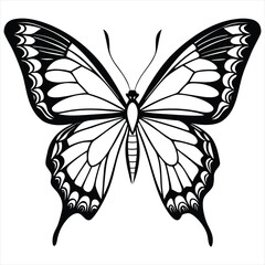 Butterfly Silhouette Vector,Black and White Insect Illustration,Elegant Butterfly Design,Butterfly vector,Butterfly design,Butterfly concept,Butterfly art,Butterfly topics,Butterfly doodle, 