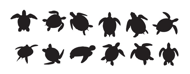 sea turtle silhouette on white background