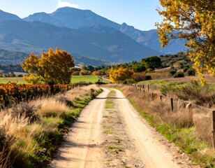 Country road through autumnal landscape