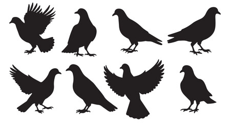 pigeon silhouette set illustration