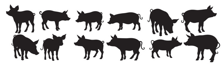 pig silhouette set of different pig silhouettes illustration