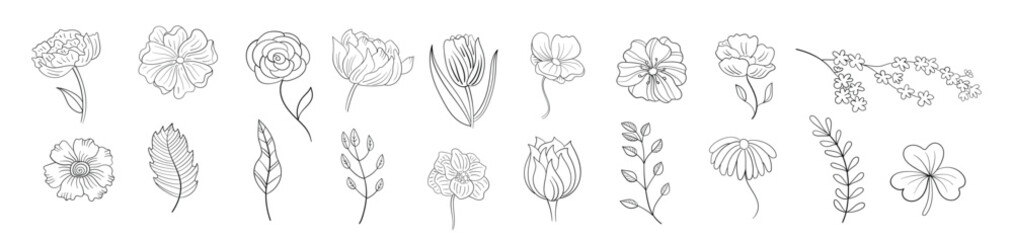 Set of line flowers. Botanical doodles. vector