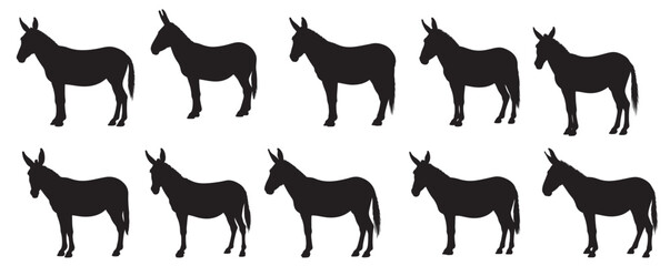 mule silhouette white background vector illustration