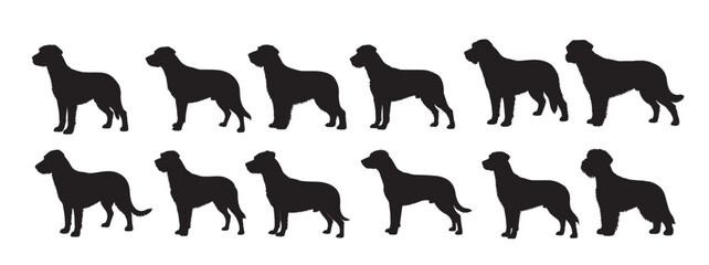 patterdale terrier dog silhouette white background vector illustration