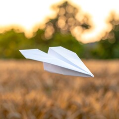 A paper airplane soars above a golden field at sunset