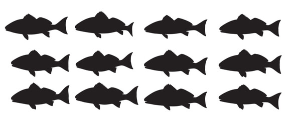 red drum fish silhouette white background