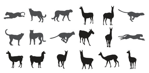 Cheetah and lama silhouette vector