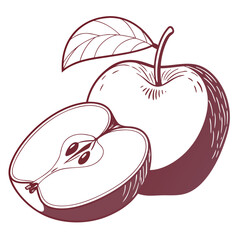 pacific rose apple on white background 