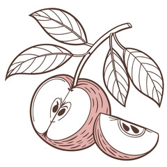 pacific rose apple on white background 