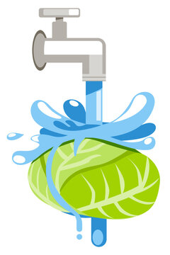 Icon vector of running water cleaning leafy vegetables, representing hygiene and safe food washing.