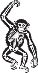 Smiling Chimpanzee Skeleton Illustration Transparent Background Vector Primate Anatomy Ape Educational Graphic