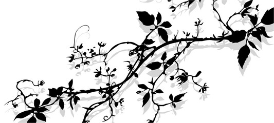 black and white background