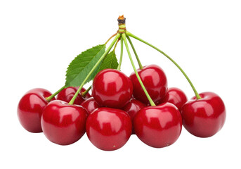 Isolated Pile of Sweet Dark Red Cherries with Stems and Leaves at Fruity Harvest Time