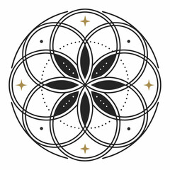 color palette of black, white, and a single accent color