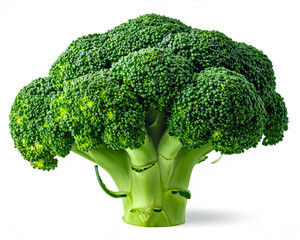 _Broccoli, vegetable, green, fresh, crisp, nutritious, healthy, natural, organic, isol
