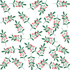 Green leaves with bright red berries on white background bring a fresh and cozy winter vibe.