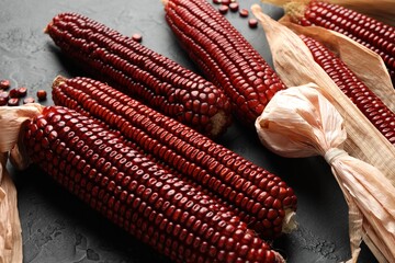 Ripe red corn cobs and kernels on dark textured table, closeup