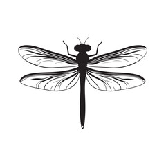 Dragonfly silhouette, Silhouette dragonfly isolated flat design black and white vector illustration, Black vector illustration on white Background