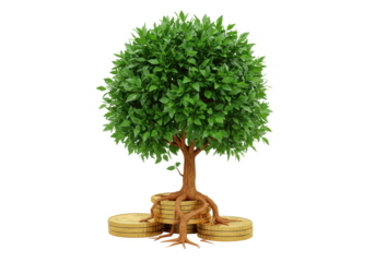 Isolated tree growing on coins symbolizes financial growth and future investment success
