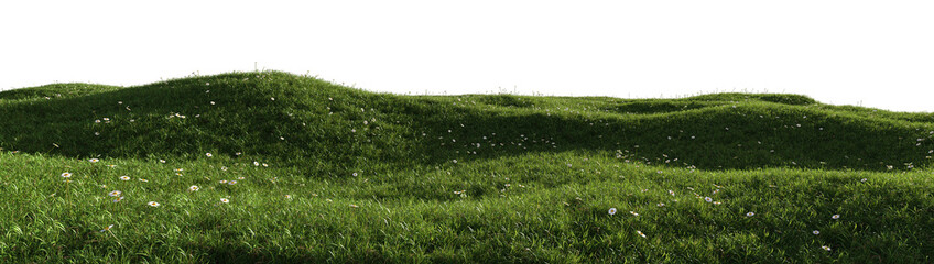 3d render of a green grass field with chamomile flowers, isolated over transparent background, PNG cut-out