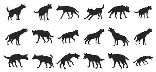 hyena silhouette illustration hyena animal vector  © Qarm