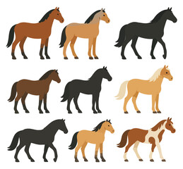 Obraz premium Horse Illustration Collection, Various Horse Poses